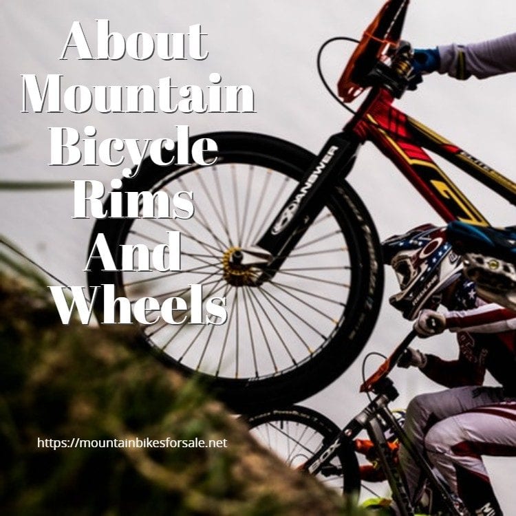 About Mountain Bicycle Rims And Wheels