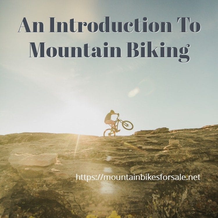 An Introduction To Mountain Biking