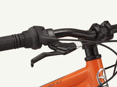 The Schwinn High Timber Mountain Bike