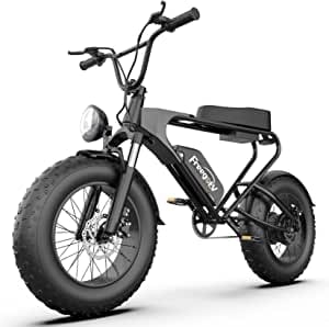 Tomofree Classic Electric Bike Review