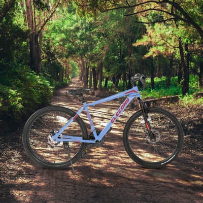 Elecony Mountain Bike Review