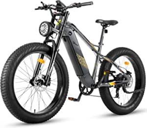 FREESKY Electric Bike Review