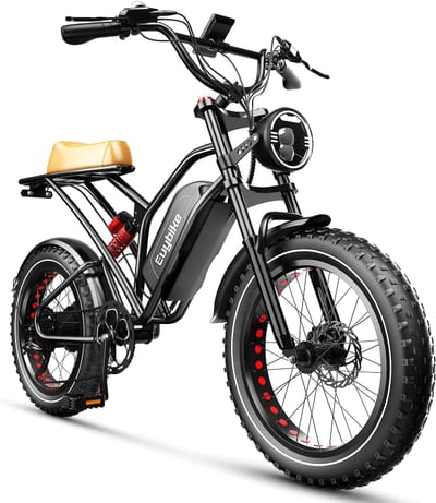 Electric Bike for Adults