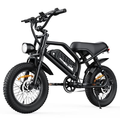 VDL Mountain Electric Bike