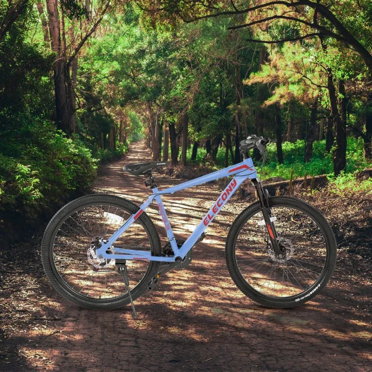 Elecony Mountain Bike Review
