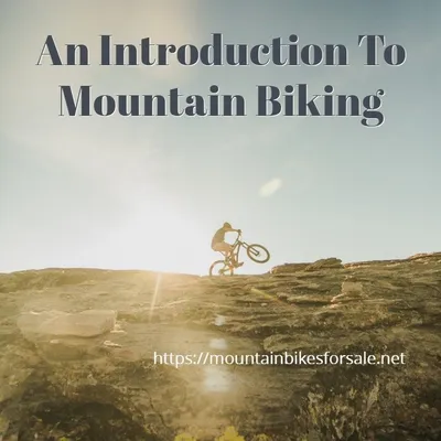 An Introduction To Mountain Biking