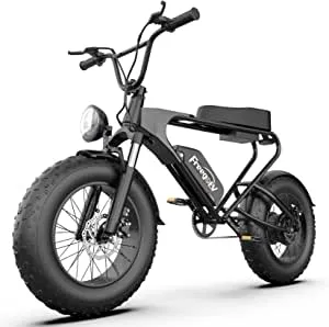 Tomofree Classic Electric Bike Review