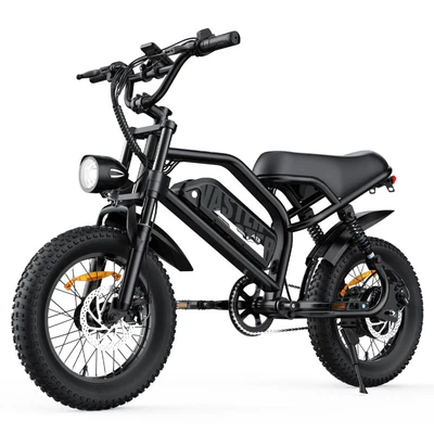 VDL Mountain Electric Bike