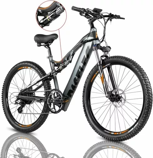 PASELEC GS9 electric bike