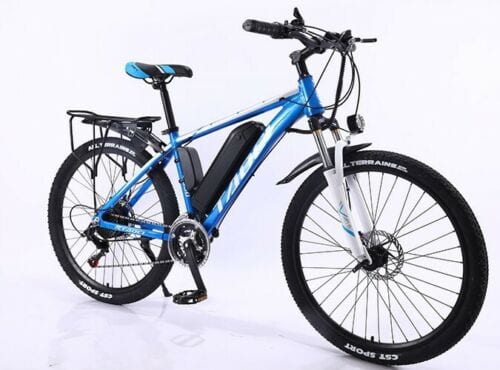 Totem Electric Bike